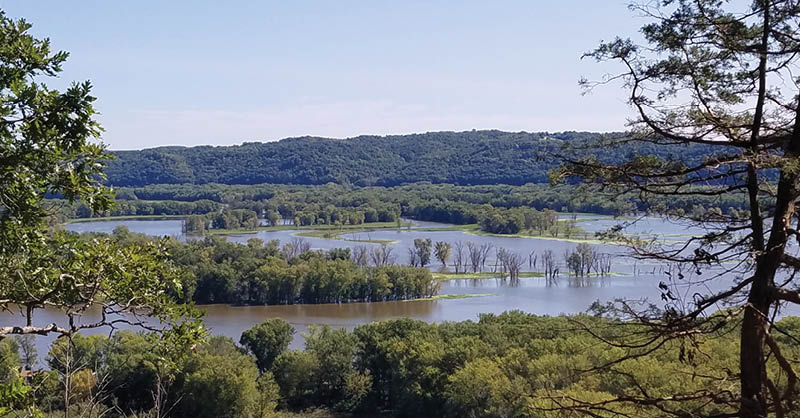 7 hidden surprises at Yellow River State Forest (including this overlook from the mountain bike trails) | Iowa DNR